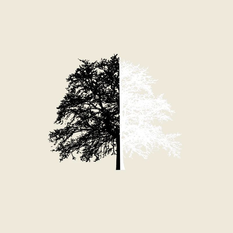 Baum Baum Schwarz Weiß Illusion