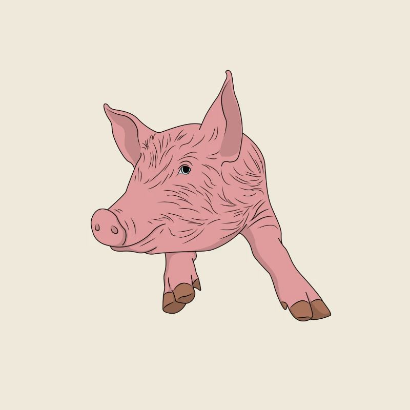 Schwein