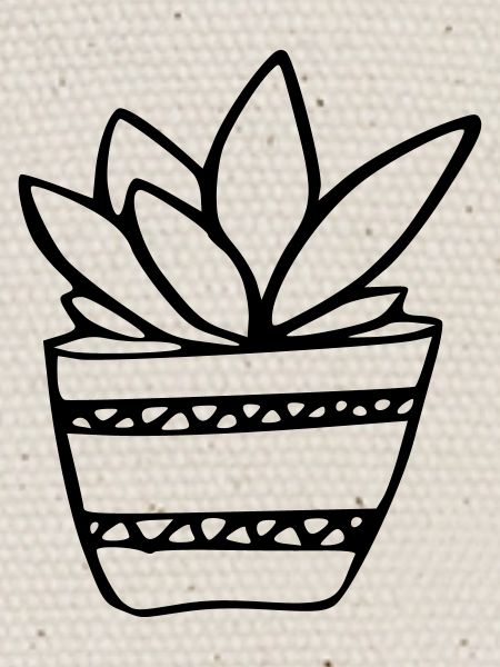 Plante