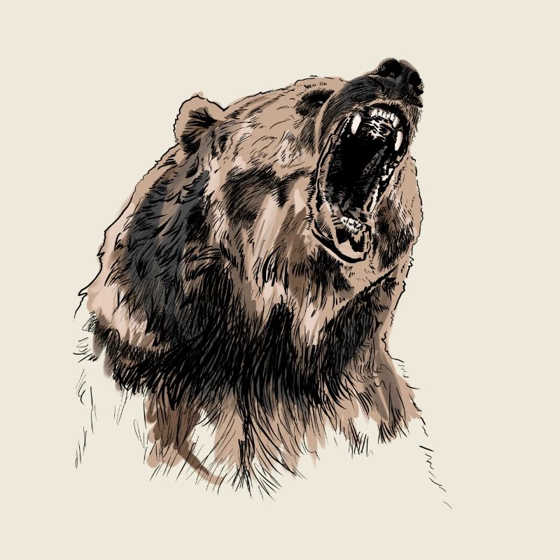 bear