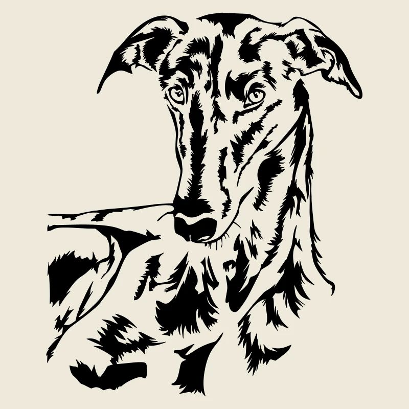 Tête de Galgo