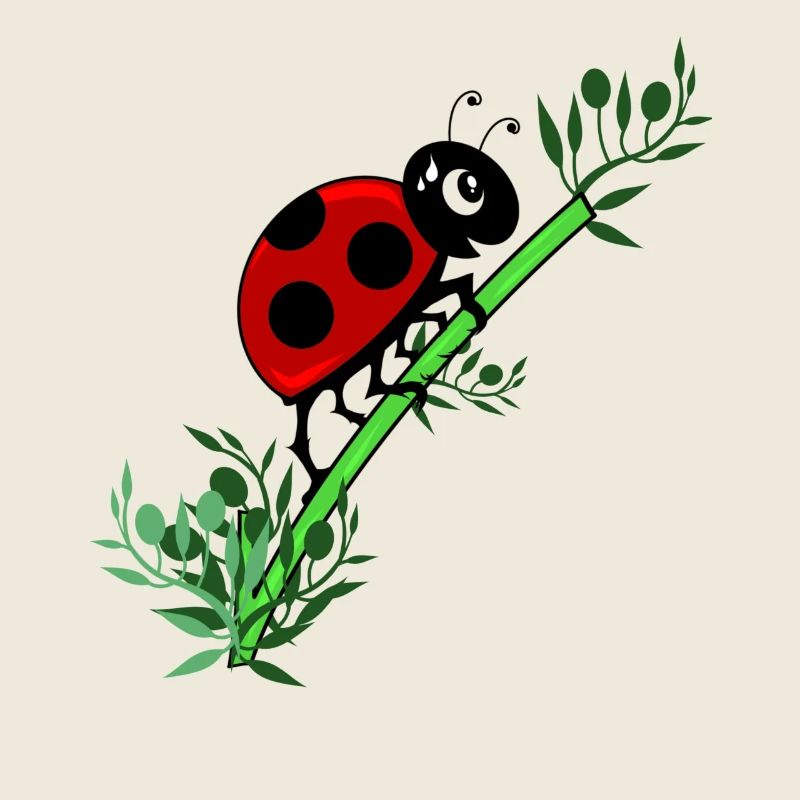 Ladybug botany