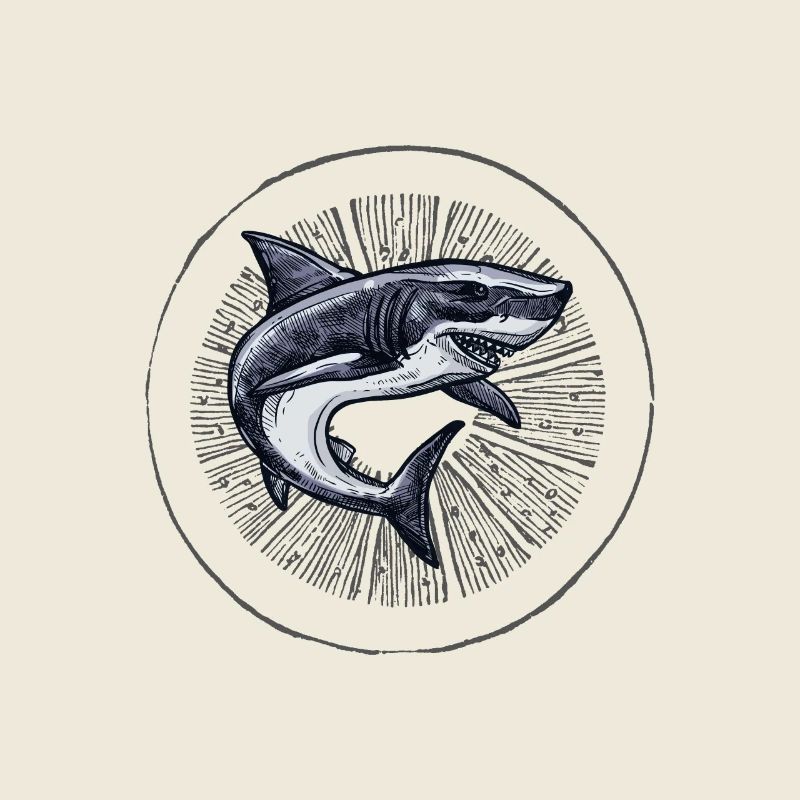 Dancing Shark