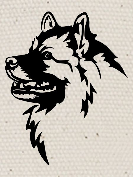 Tête de Wolfsspitz