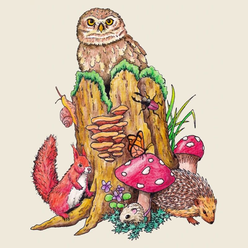 Animaux de la forêt