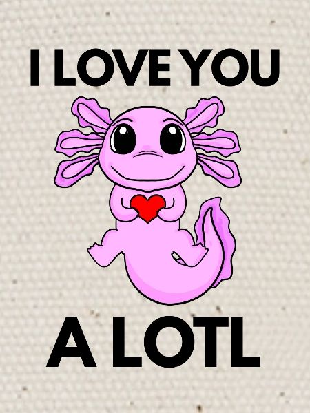 Axolotl