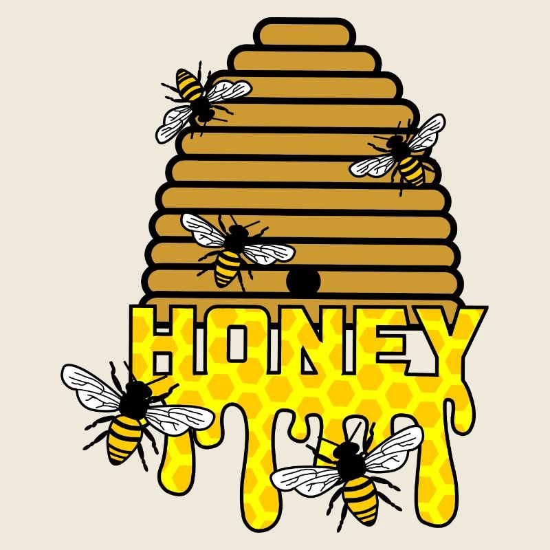 Ruche de miel d’abeille
