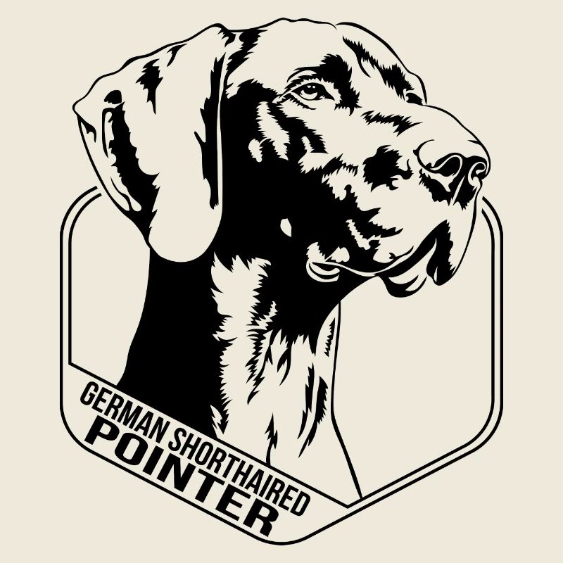 German Shorthaired Pointer Hund Wilsigns Jagdhunde