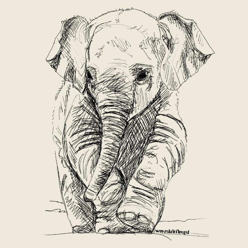 Elefant
