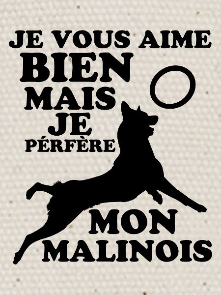malinois 1