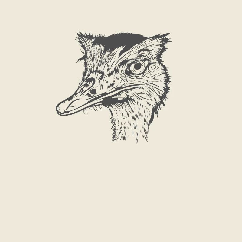Straußenkopf Laufvogel Savanne