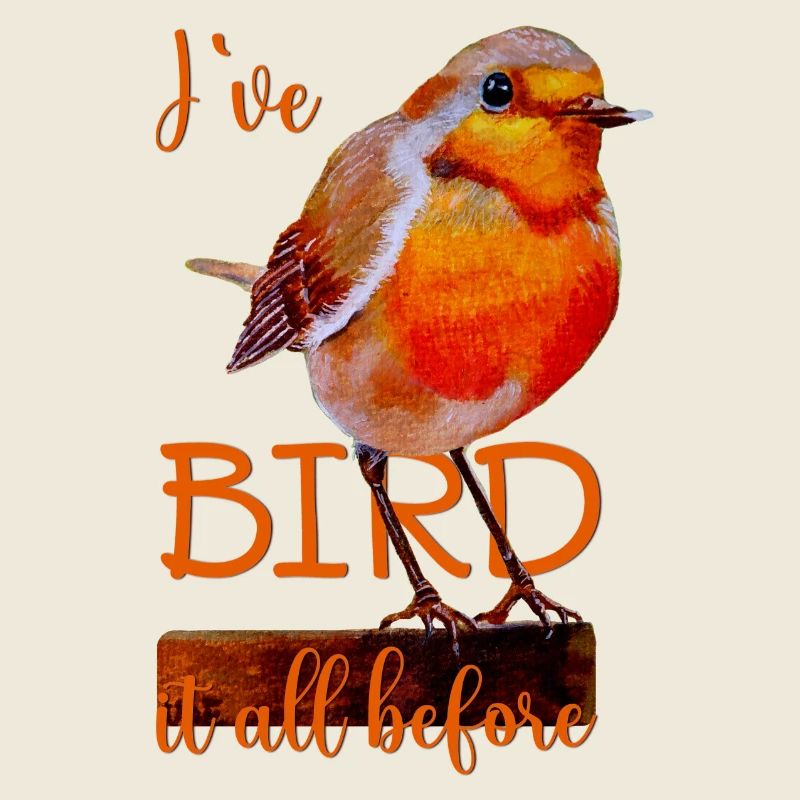 Rotkehlchen süßer Vogel Bird it all before