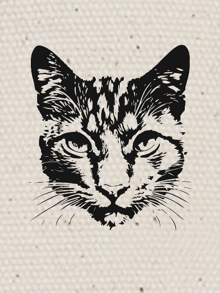 Cat 6