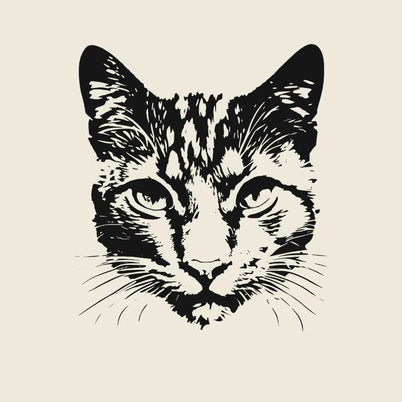 Katze 6