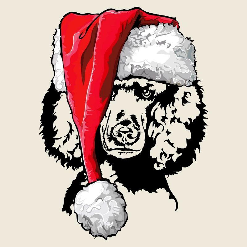 Père Noël caniche Noël Père Noël chiens Wilsigns