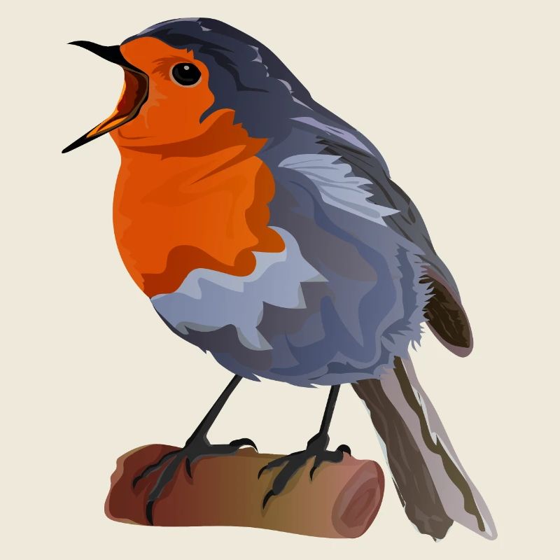 Robin Bird Illustration on Textile
