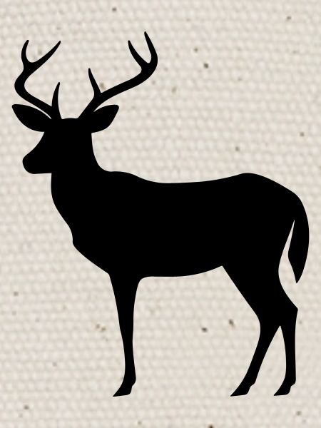 Cerf