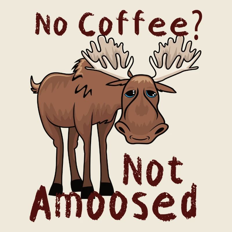 Pas de café pas d’orignal amoosé
