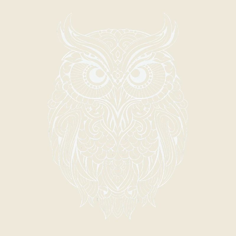 Mythical Magical Boho Owl with Patterns