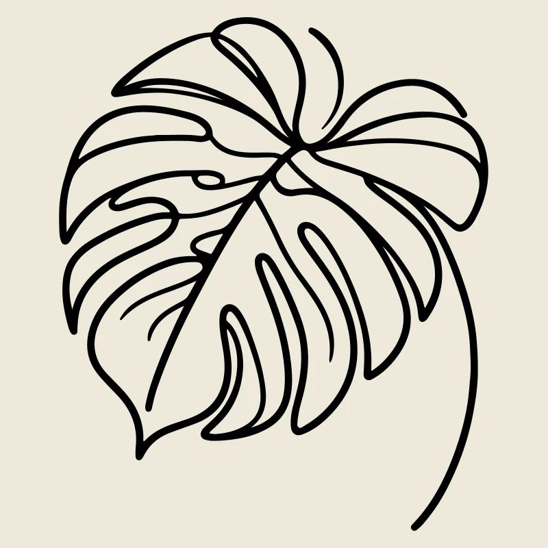 Monstera