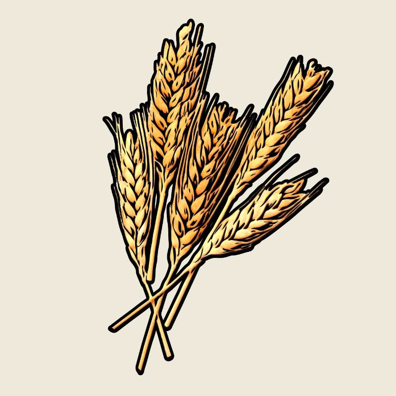 5 Weizen Ähren