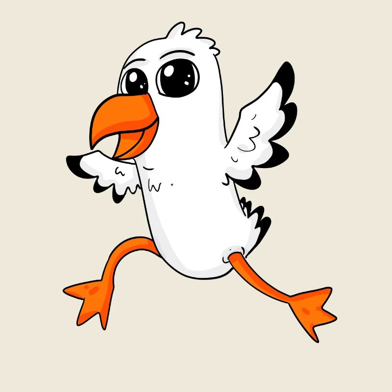 Möwe Vogel Nordsee