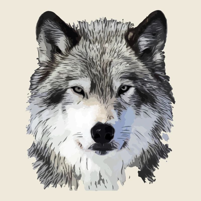 Der Wolf