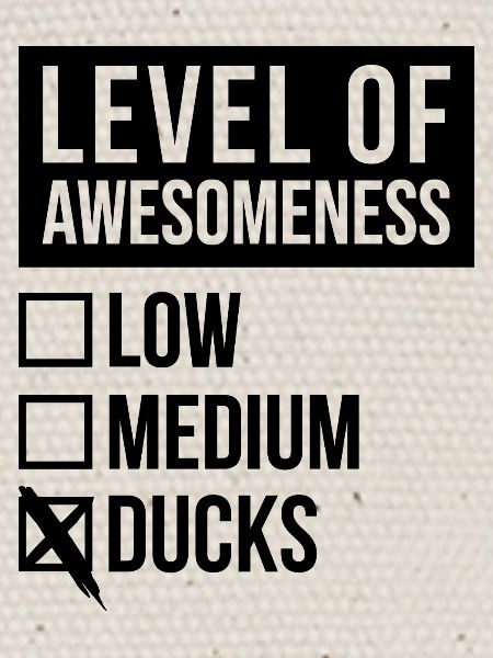 Canard Canard Canard