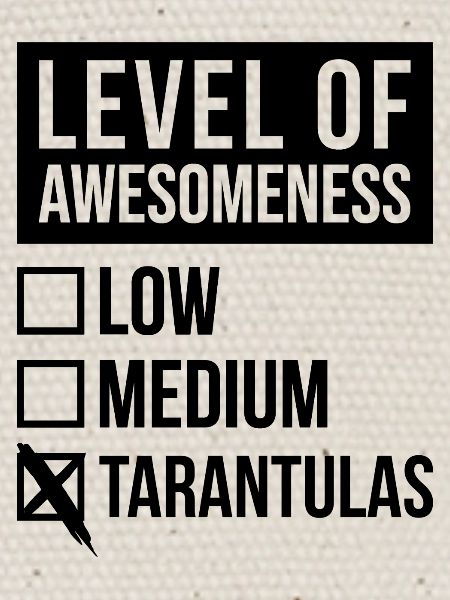 Tarantel Tarantel Tarantel