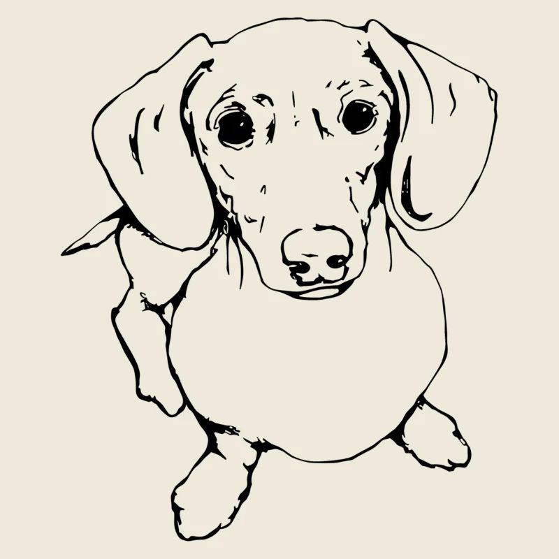 Teckel, Teckel, Teckel, Teckel à poil dur Line Art