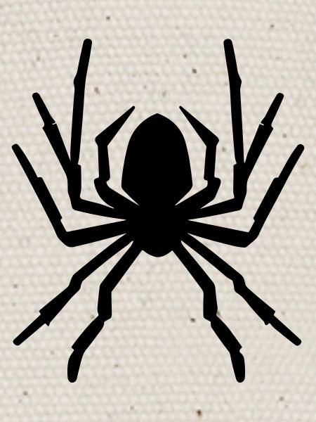 araignée