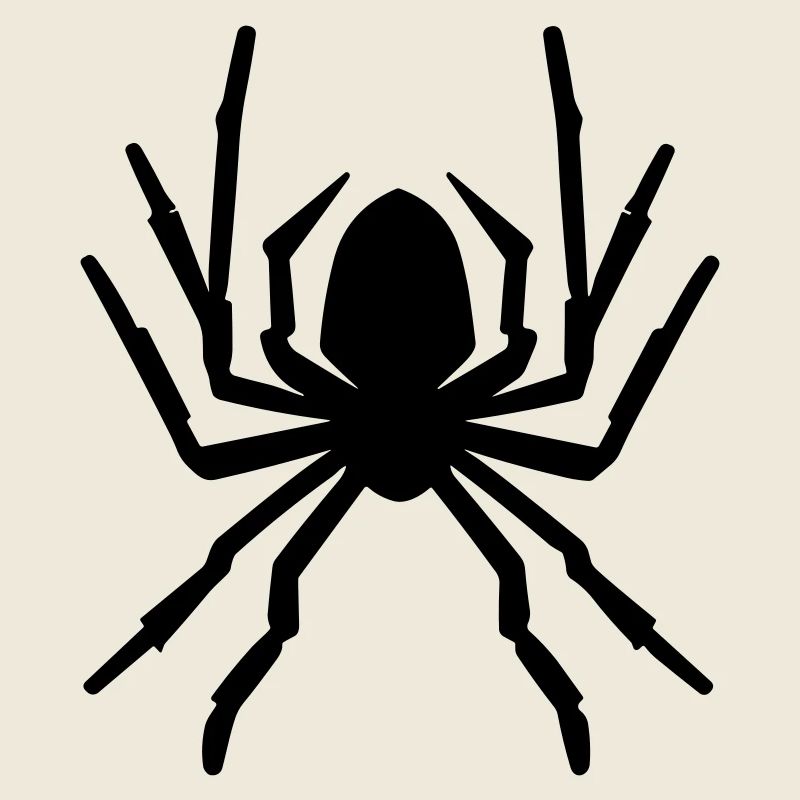 spider