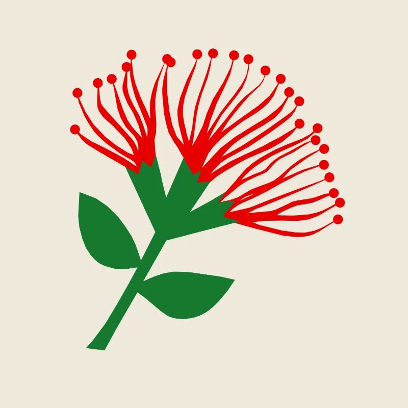 Fleur de Pohutukawa , Nouvelle-Zélande