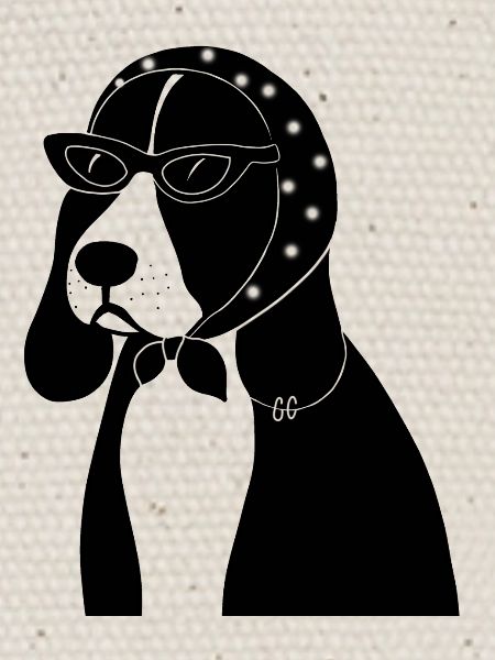 Beagle avec style