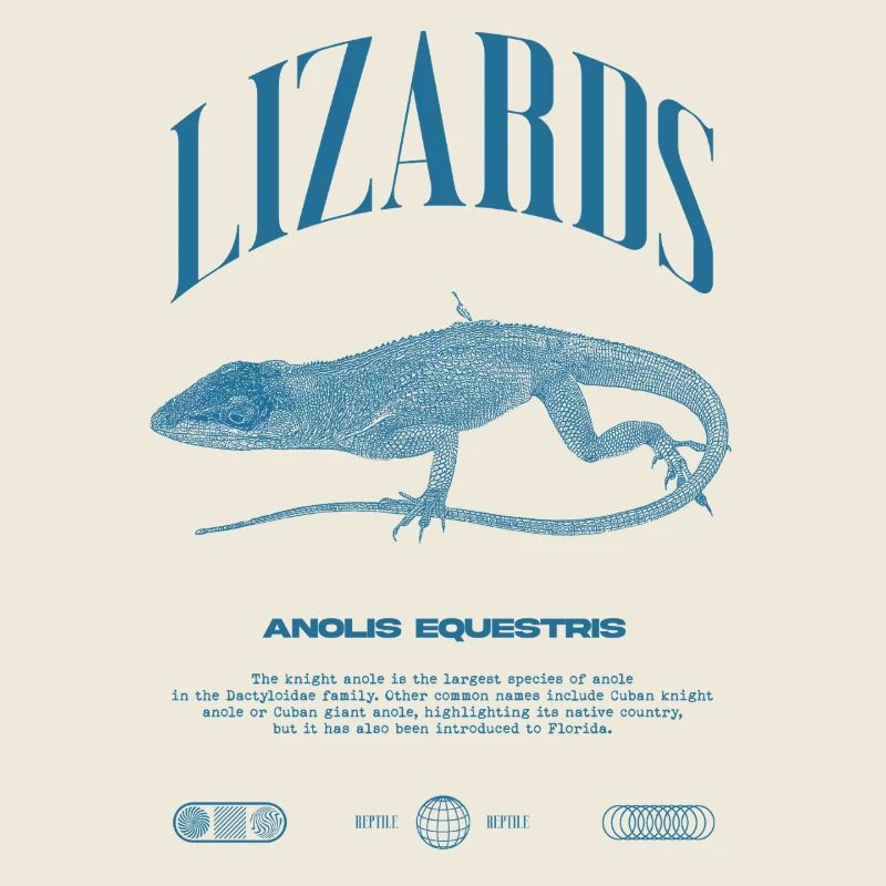 Kubanischer Ritter Anole Reptilienhalter Eidechse