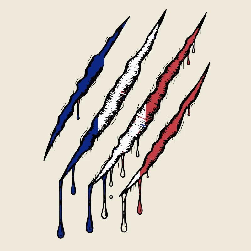 France Tricolore Griffe Grunge Drapeau Scratch