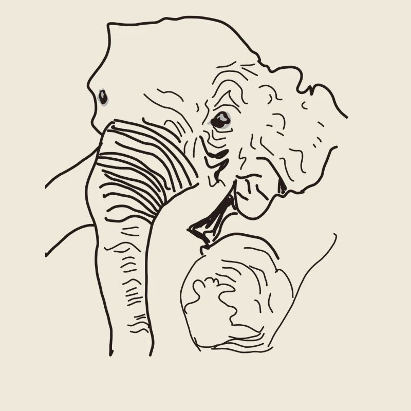 Elephant found Thailand