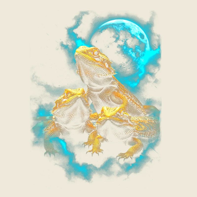 Trio de dragons barbus
