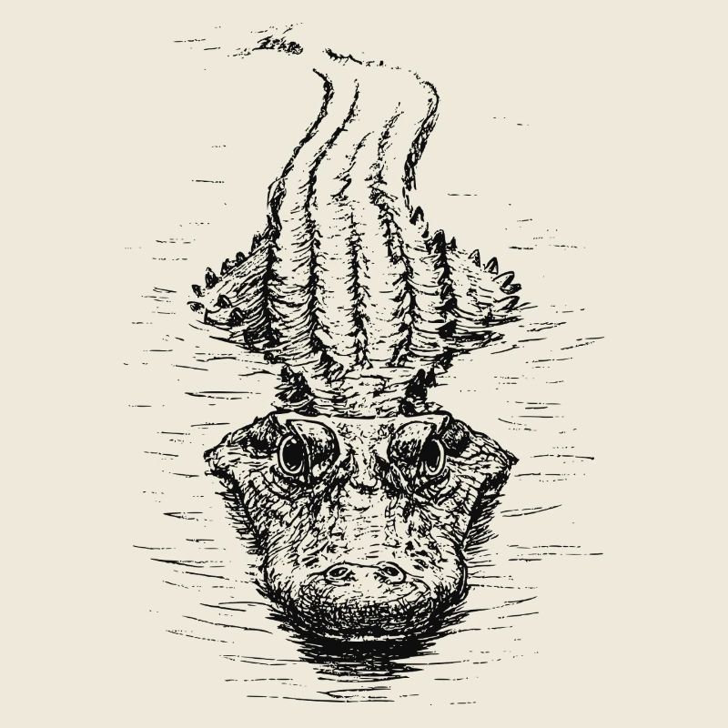 Floating Croc