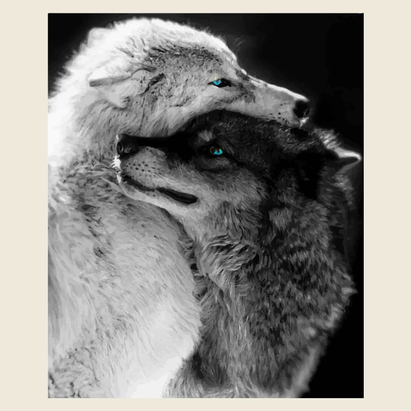 Two Wolves Hugging Blue Eyes