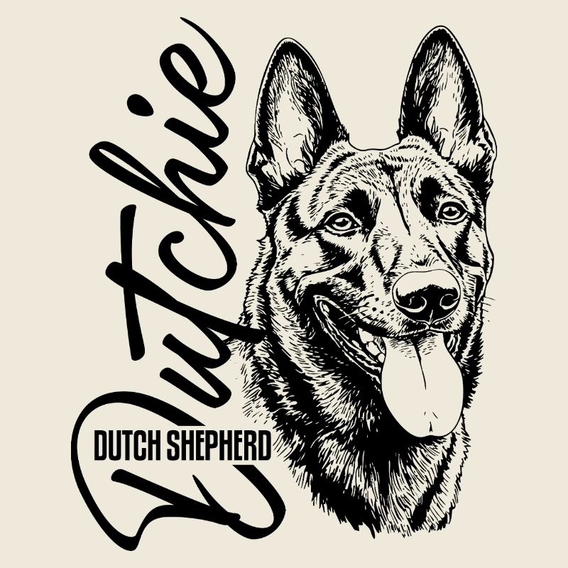 Dutchie - Holländischer Schäferhund
