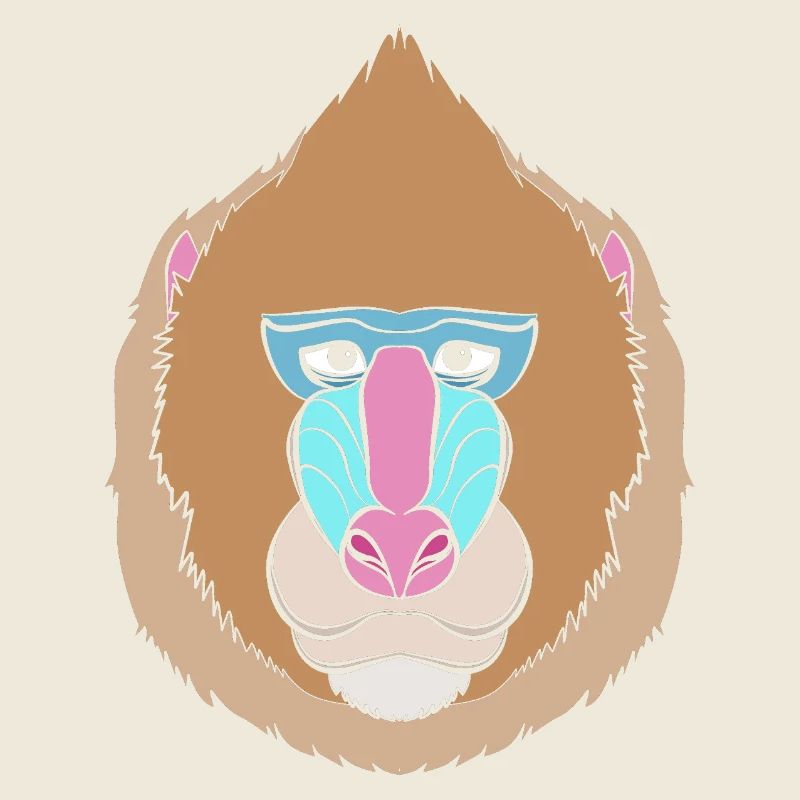 Babouin Babouin Primate Singe Singe