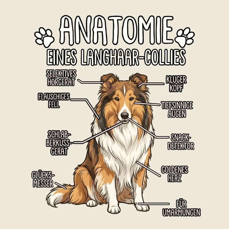 Collie à poils longs : La véritable anatomie