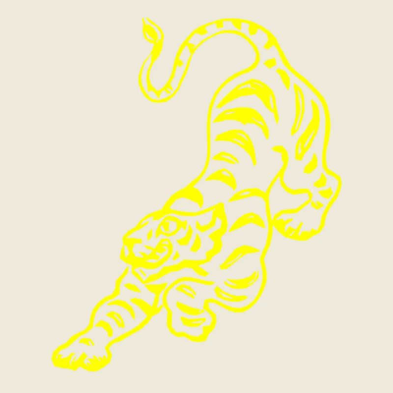 Chinese tiger pattern