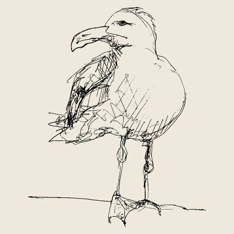 Möwe