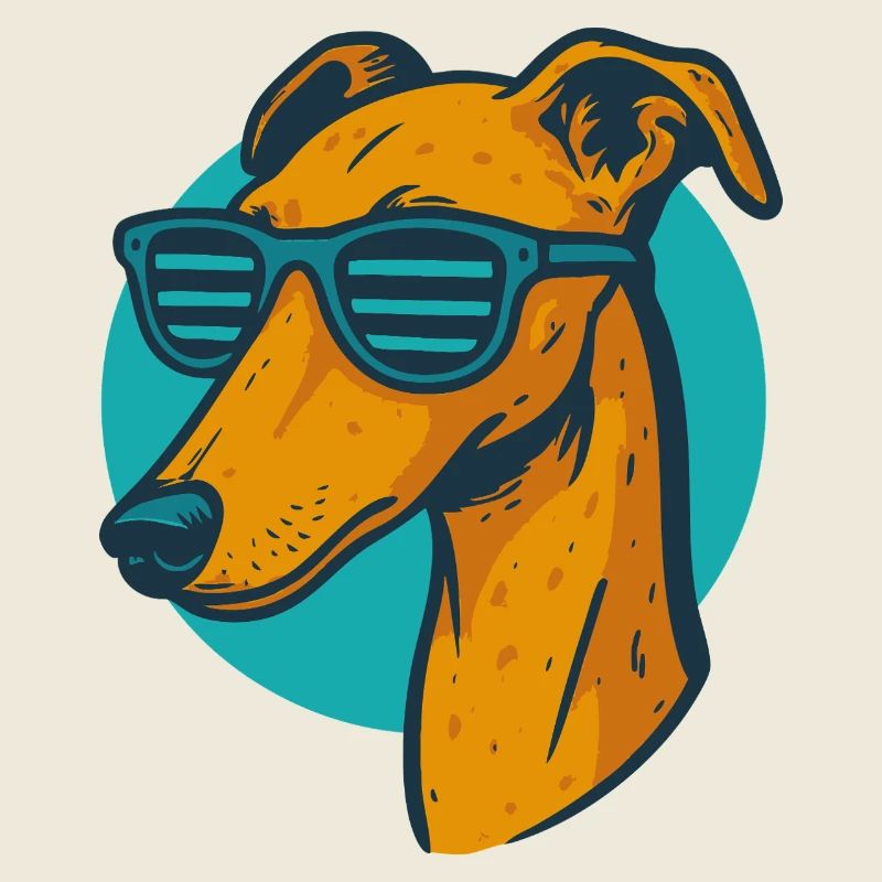 Greyhound, Galgo