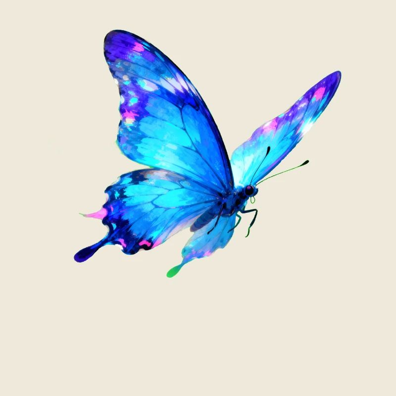 Papillon aquarelle bleu