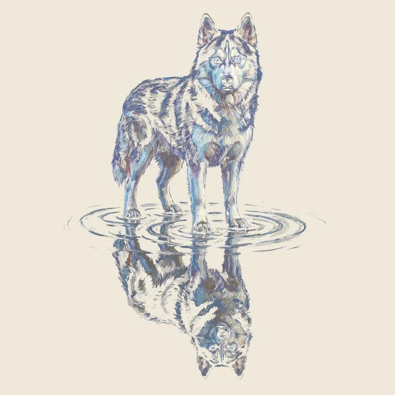 Siberian husky with water reflection