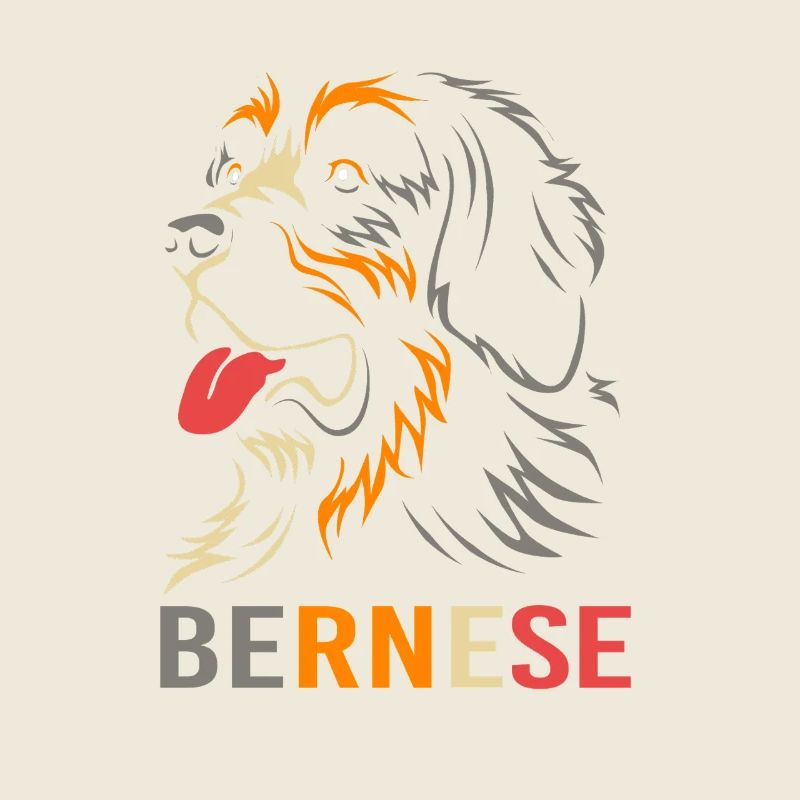 Bouvier bernois