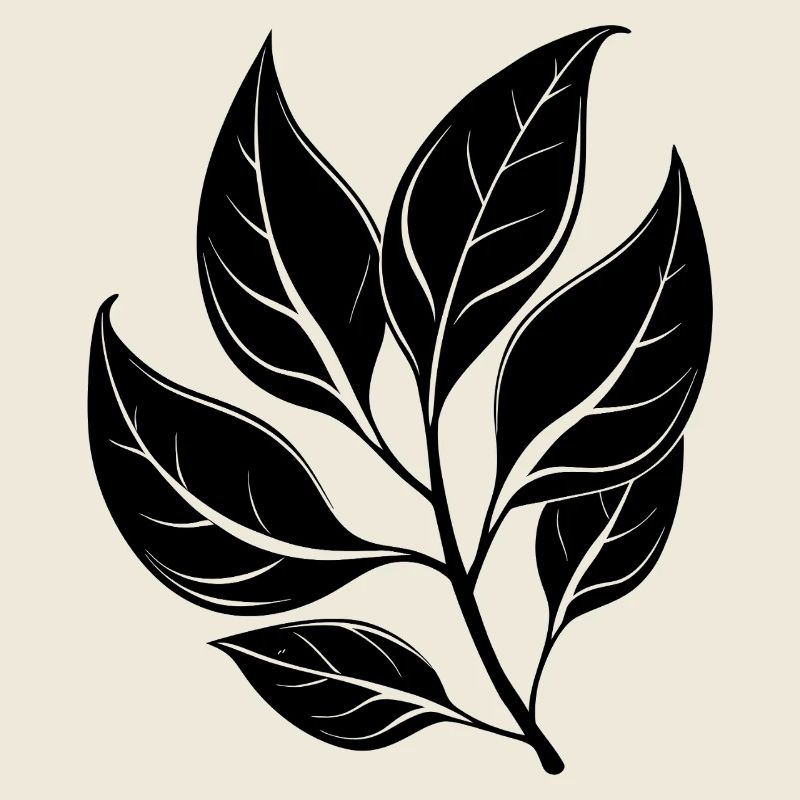Feuilles de gomme